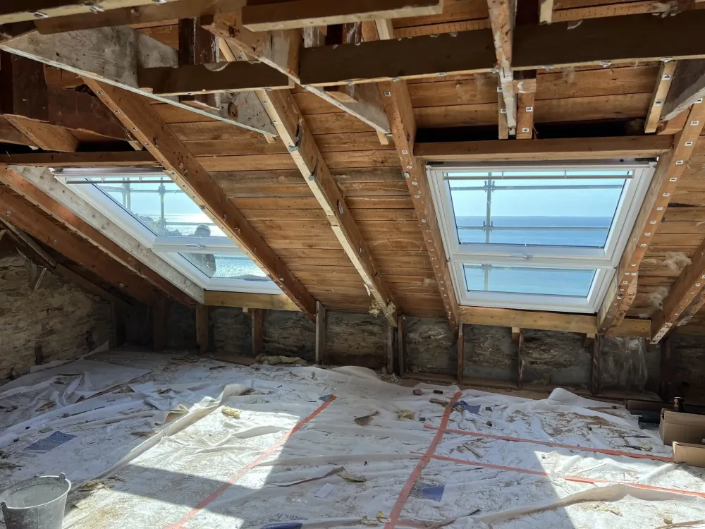 VERRIERE PLANE VELUX (3)
